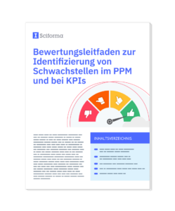 Bewertungsleitfaden zur Identifizierung von Schwachstellen im PPM und bei KPIs