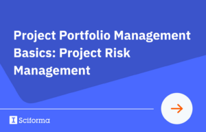 Project Portfolio Management Basics: Project Risk Management