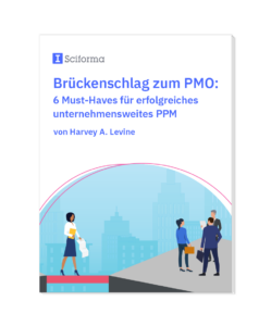 Brückenschlag zum PMO: 6 Must-Haves für erfolgreiches unternehmensweites PPM