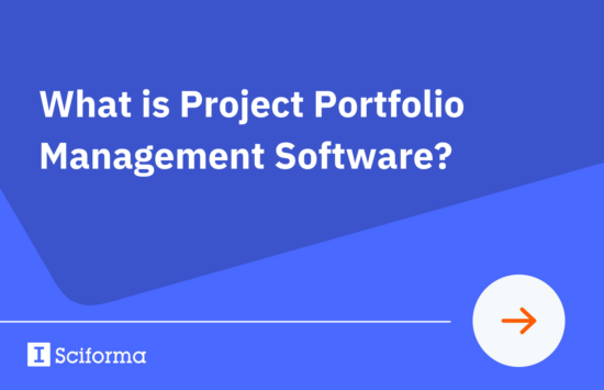What is project portfolio management software?
