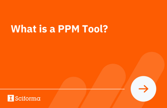 What is a PPM Tool?