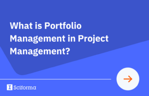What is Portfolio Management in Project Management?