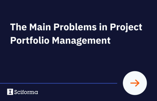 The Main Problems in Project Portfolio Management