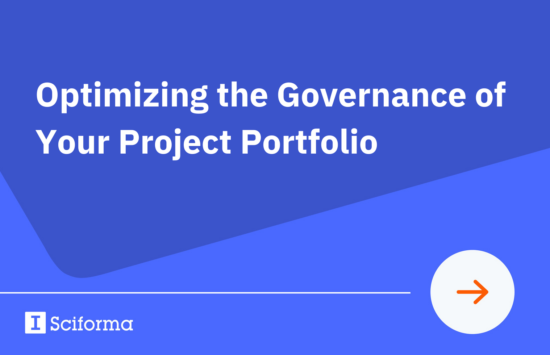 Optimizing the Governance of Your Project Portfolio