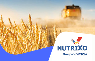 NutriXo : une approche méthodique à la priorisation des projets