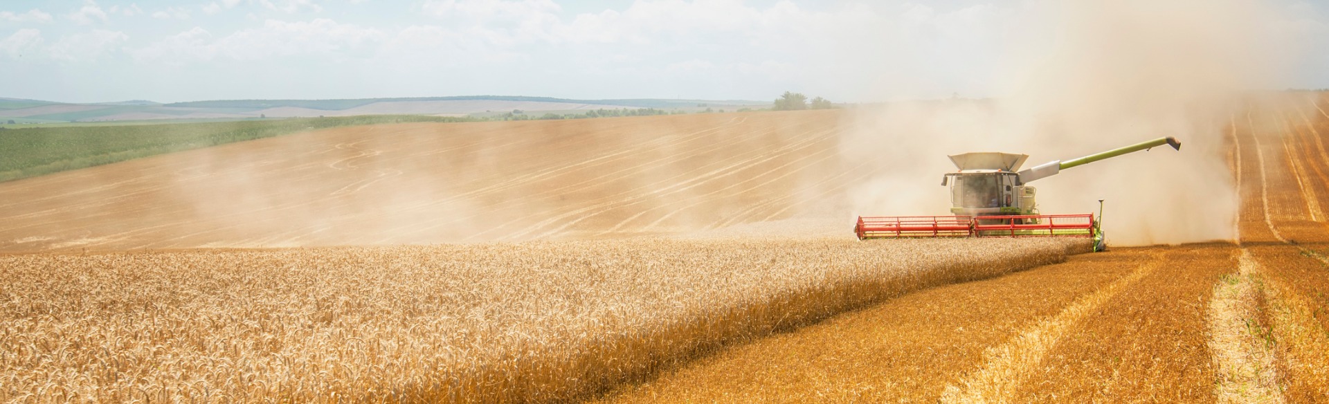 NutriXo : une approche méthodique à la priorisation des projets