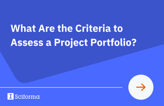 What Are the Criteria to Assess a Project Portfolio?