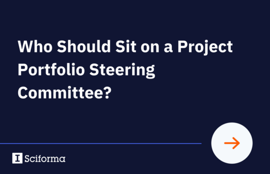 Who Should Sit on a Project Portfolio Steering Committee?