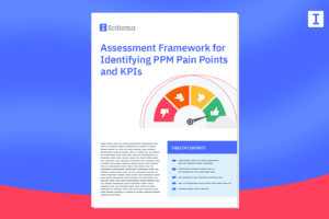 Assessment Framework for Identifying PPM Pain Points and KPIs