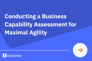 Conducting a Business Capability Assessment for Maximal Agility